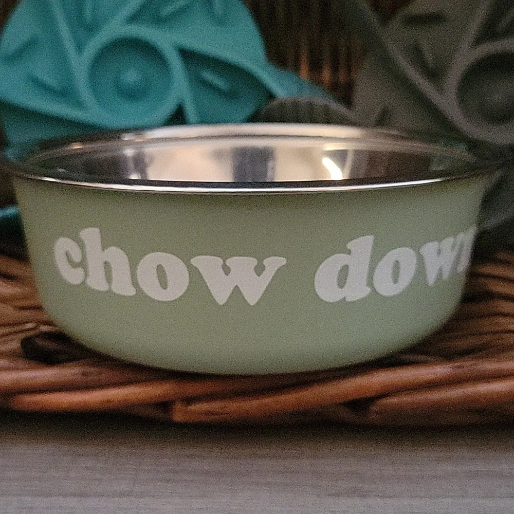 Slow Feeder Insert Pet Bundle